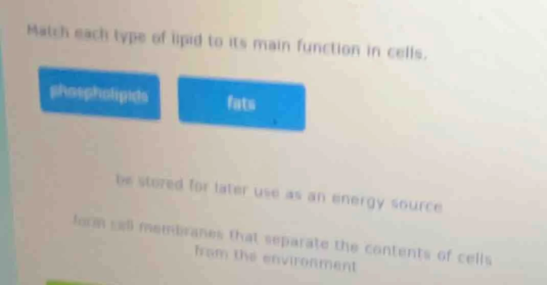 match each type of lipid to its main function in cells. phospholipids f…