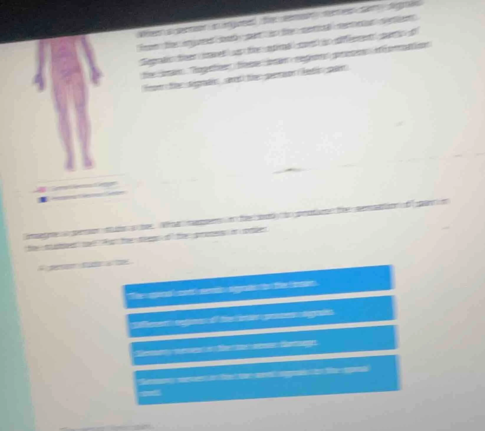 when a person is injured, the sensory nerves carry signals from the inj…