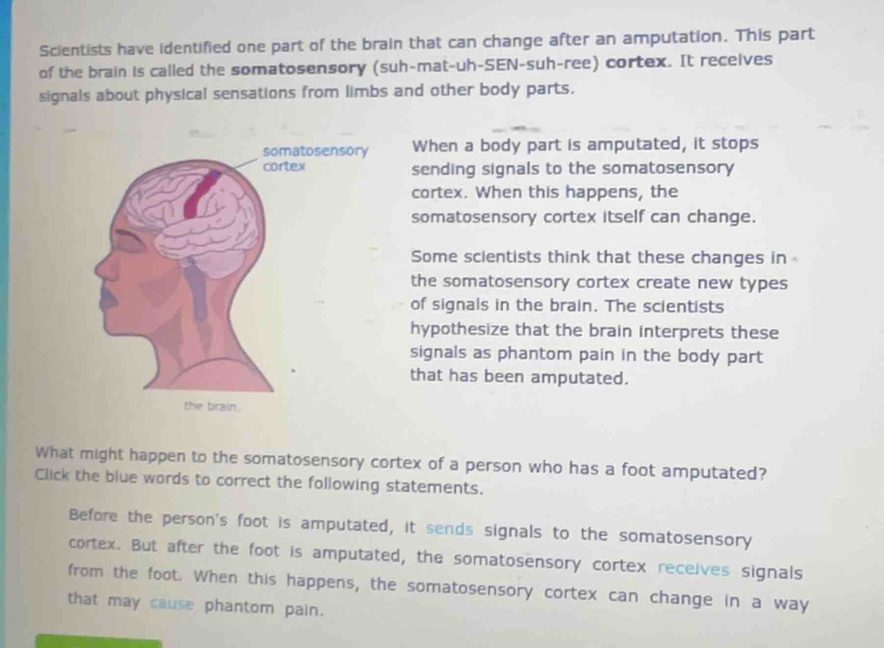 scientists have identified one part of the brain that can change after …