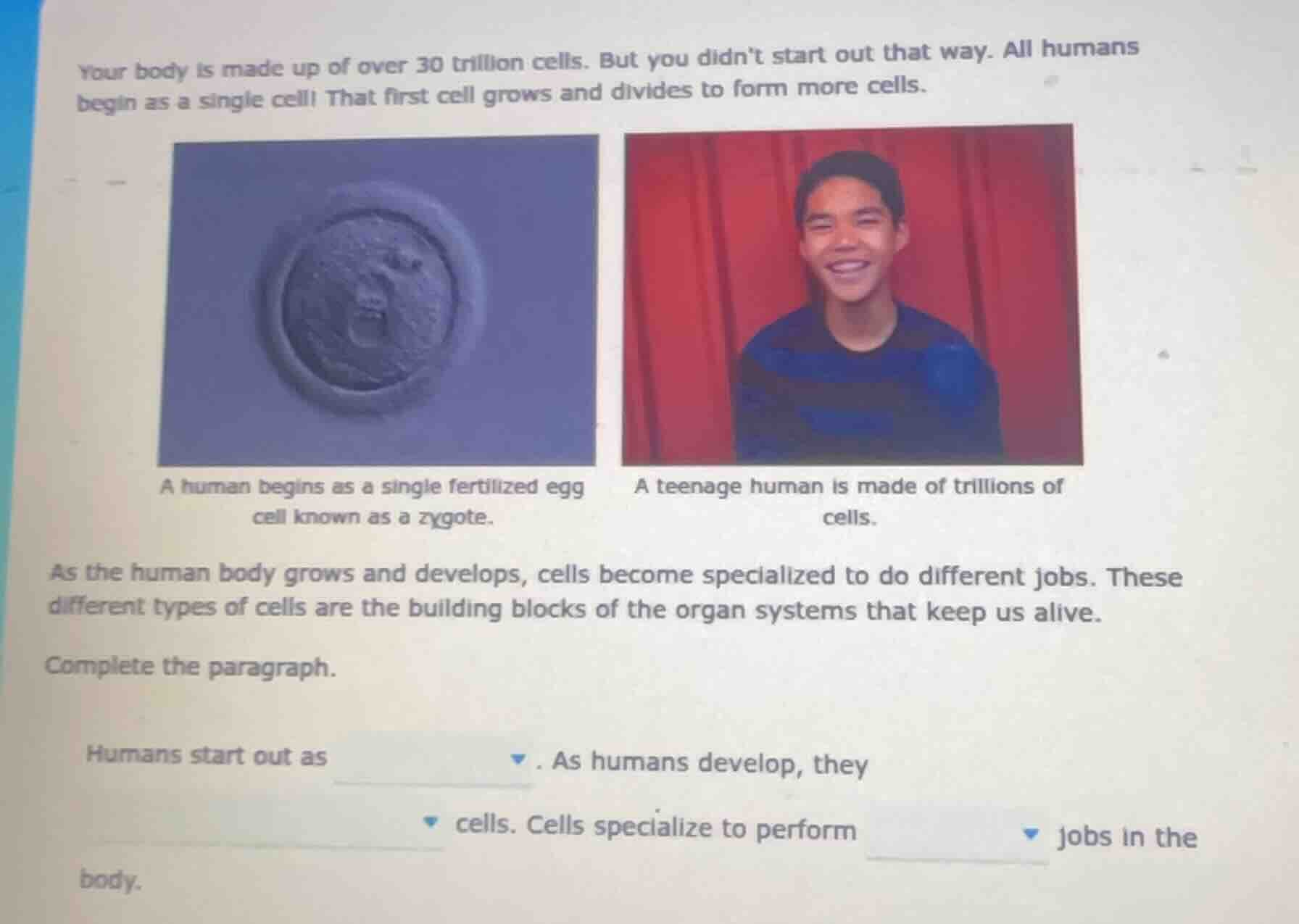 your body is made up of over 30 trillion cells. but you didnt start out…