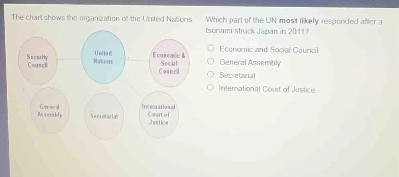 the chart shows the organization of the united nations. which part of t…