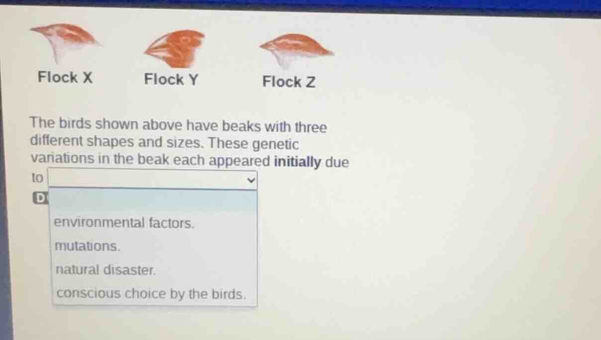 flock x flock y flock z the birds shown above have beaks with three dif…