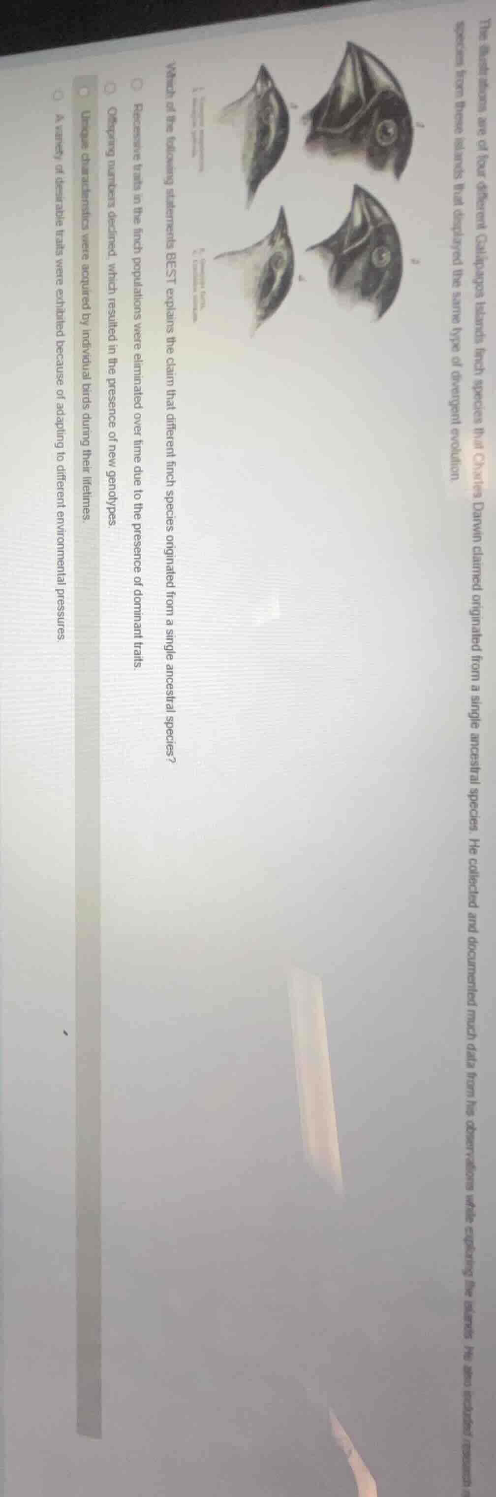 the illustrations are of four different galápagos islands finch species…