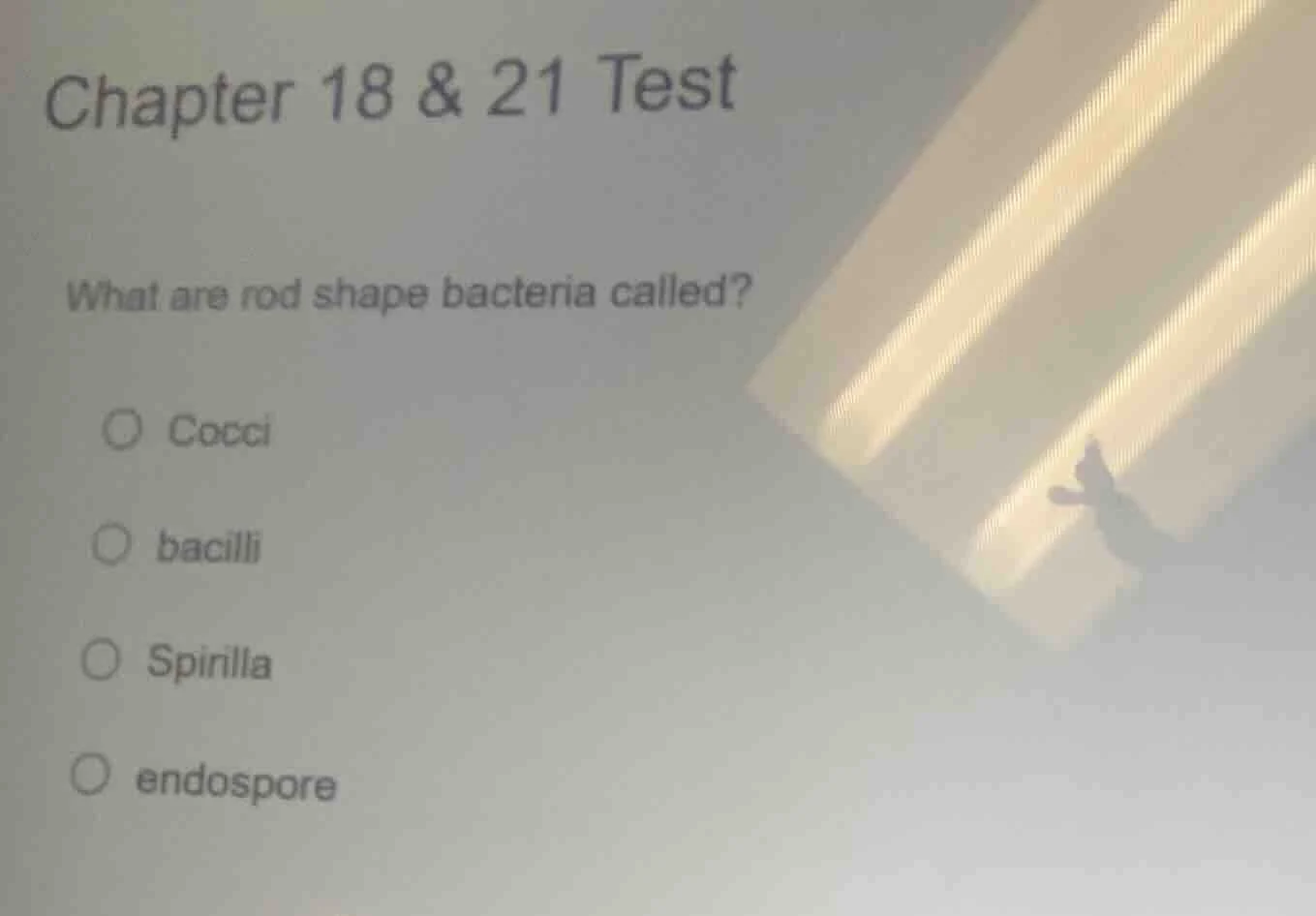 chapter 18 & 21 test what are rod shape bacteria called? ○ cocci ○ baci…