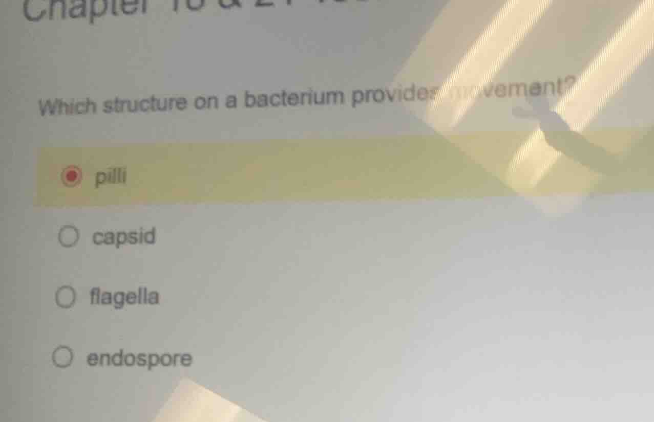 which structure on a bacterium provides movement?○ pilli○ capsid○ flage…