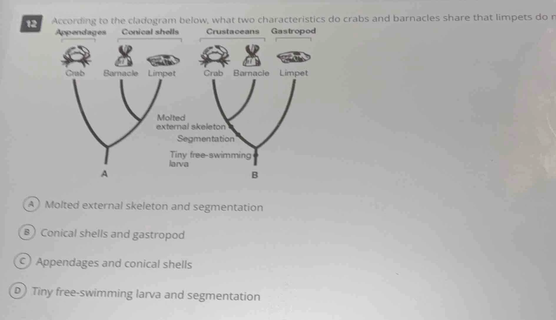 12 according to the cladogram below, what two characteristics do crabs …