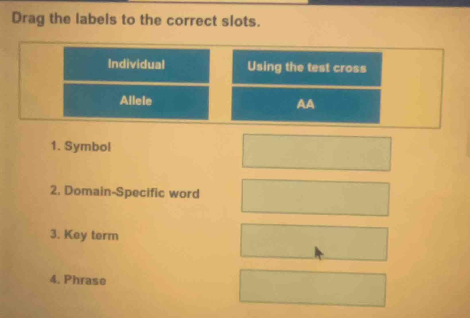 drag the labels to the correct slots. individual using the test cross a…
