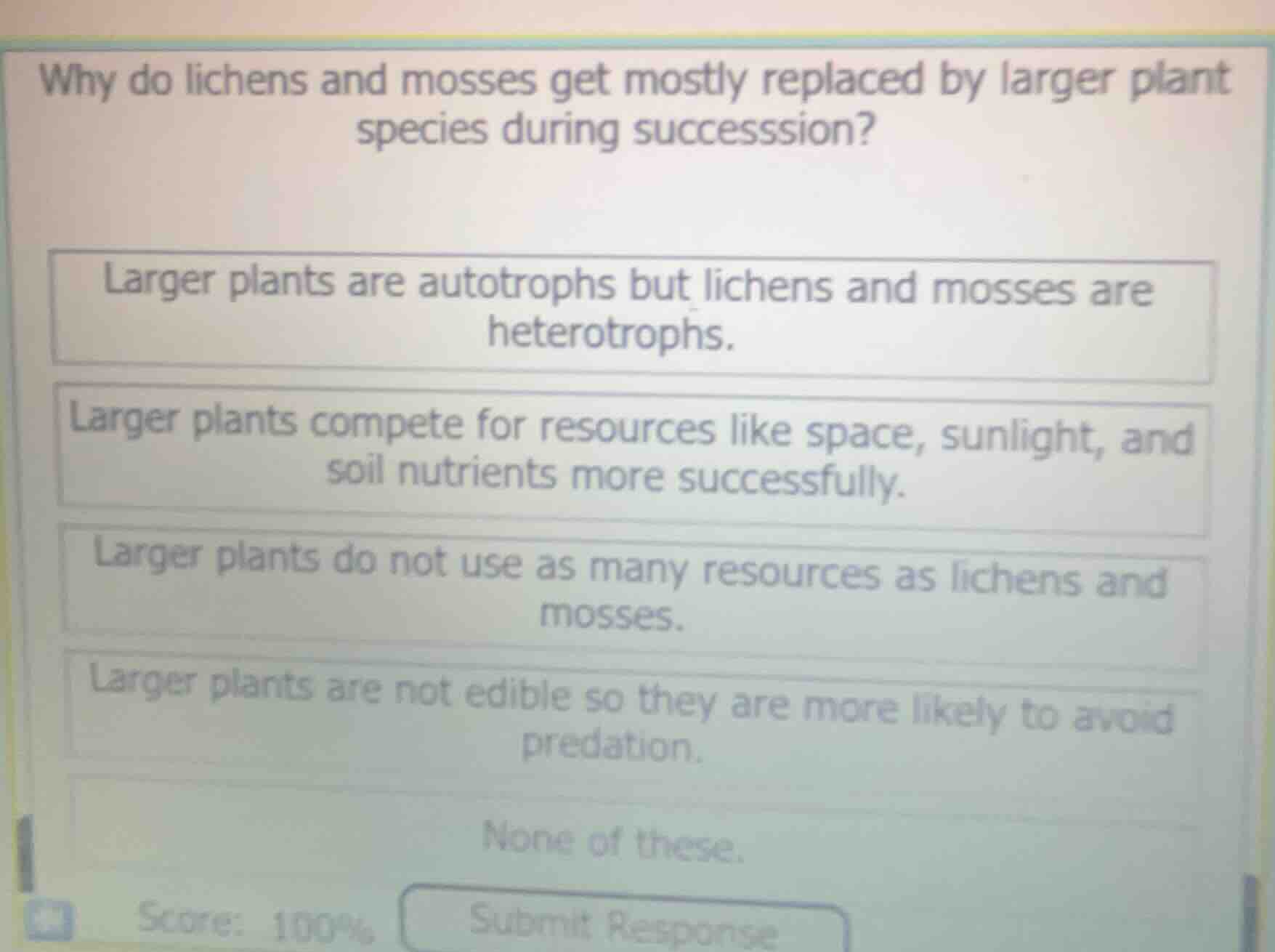 why do lichens and mosses get mostly replaced by larger plant species d…