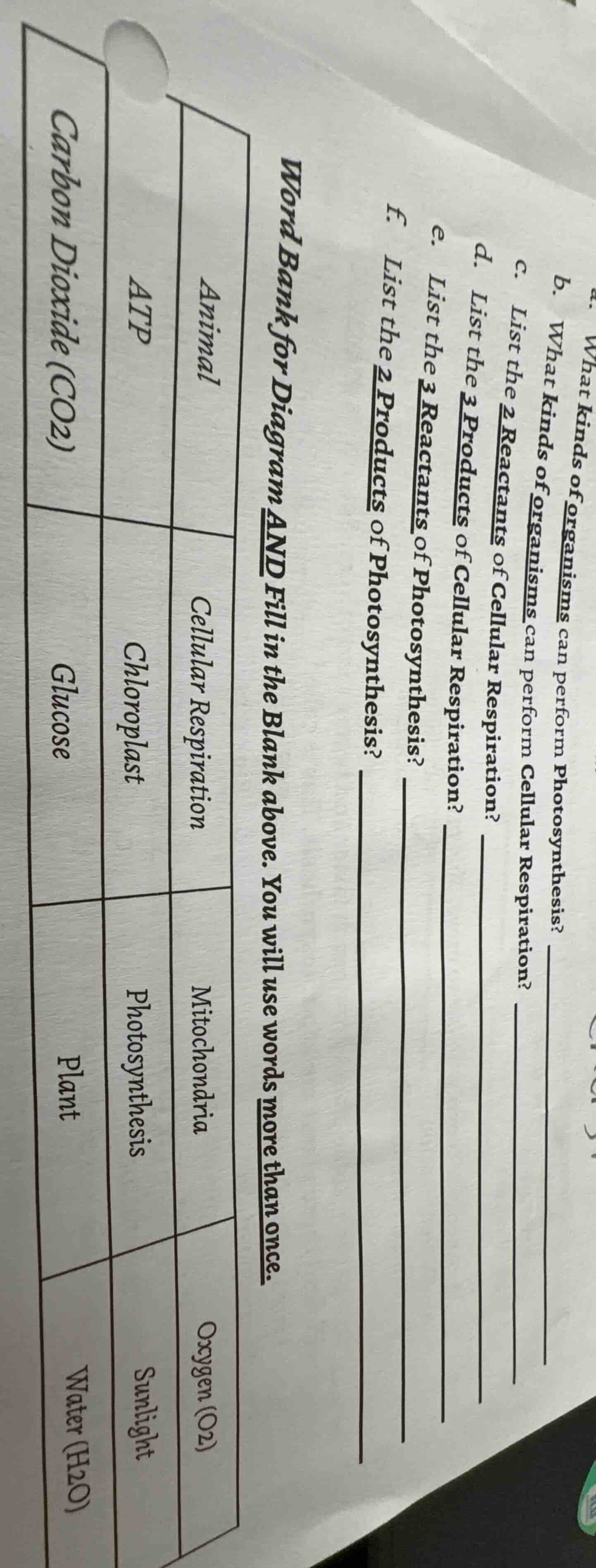 a. what kinds of organisms can perform photosynthesis?b. what kinds of …