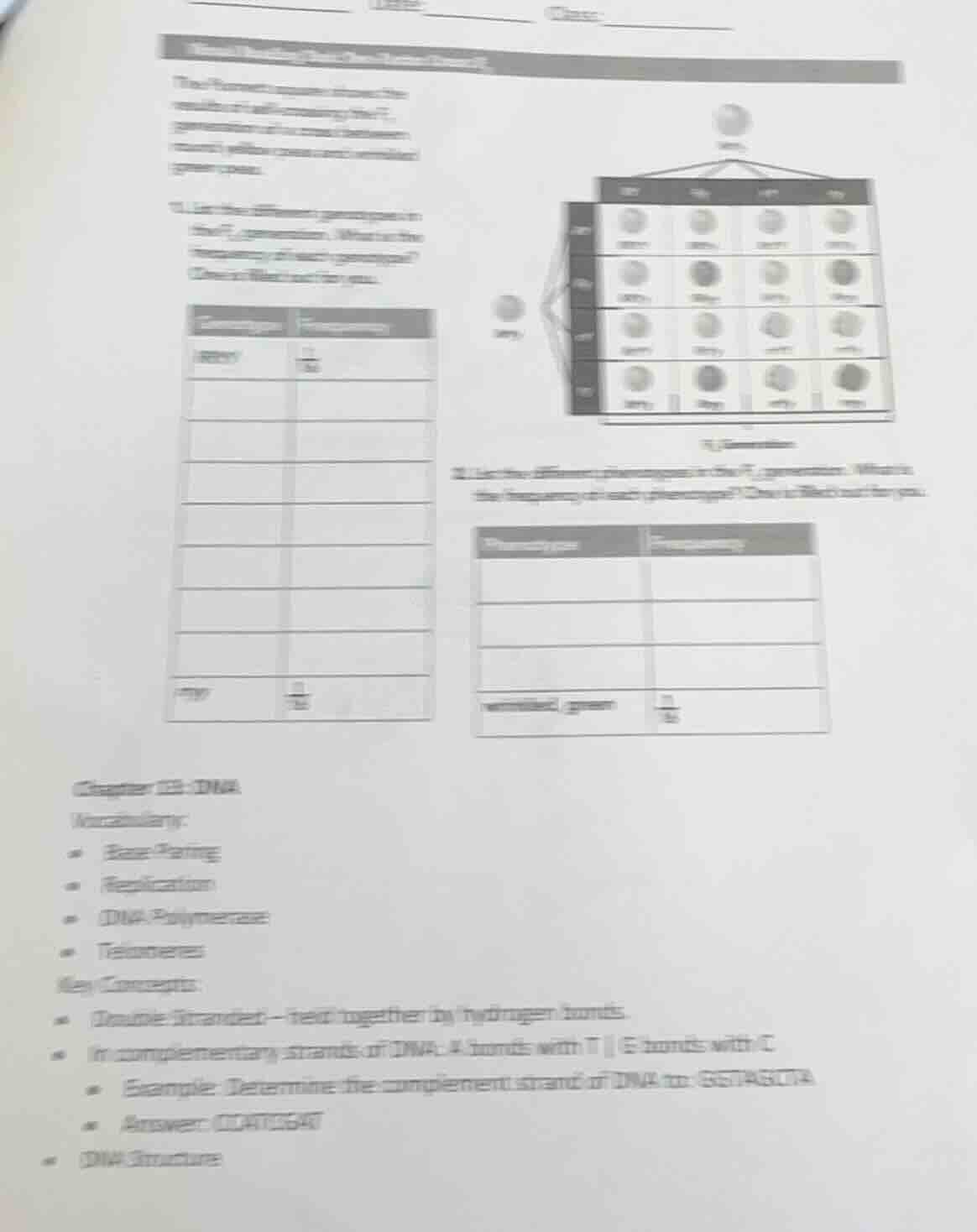the punnett square shows the results of a self-crossing of the f₁ gener…