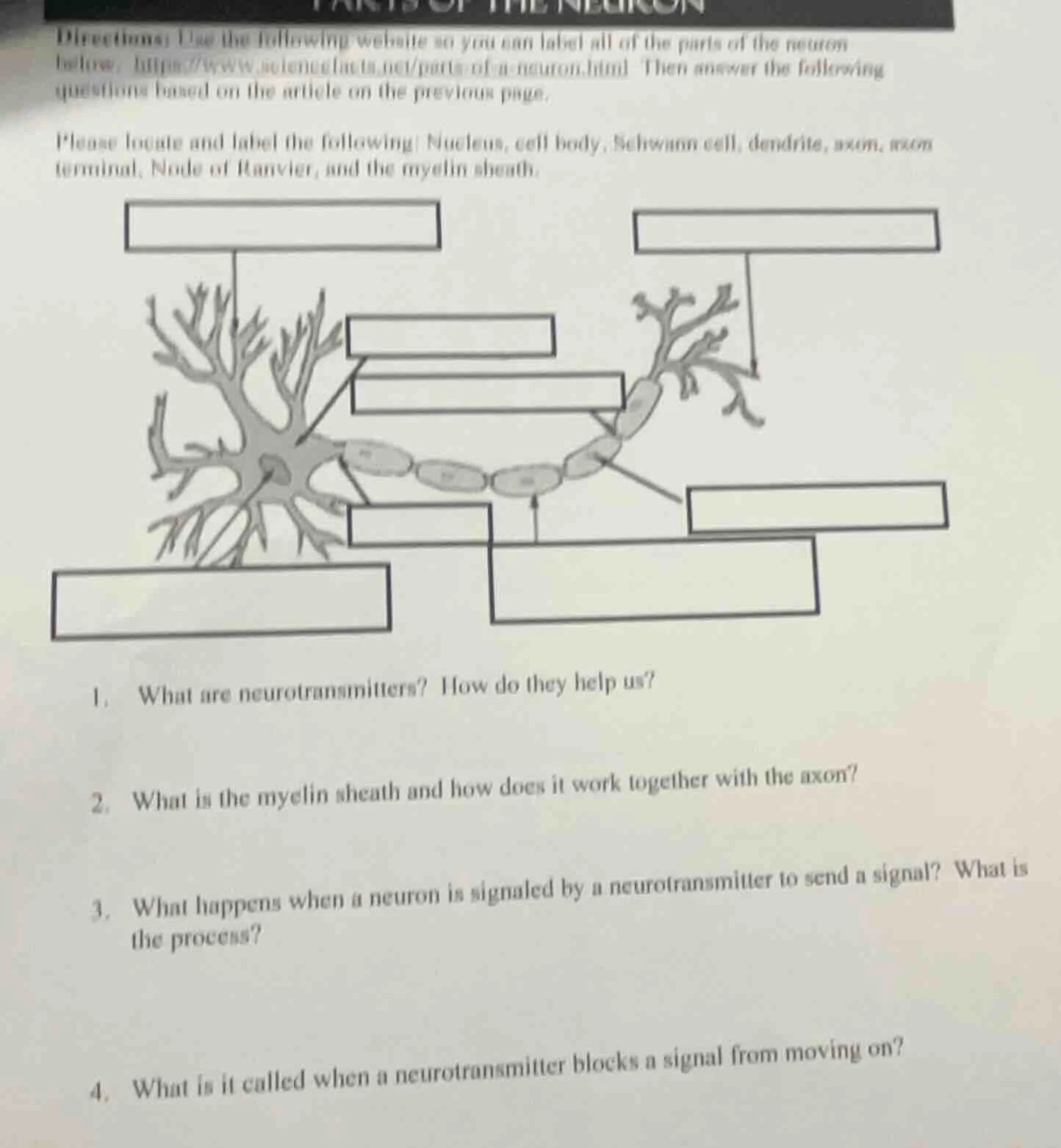 directions: use the following website so you can label all of the parts…