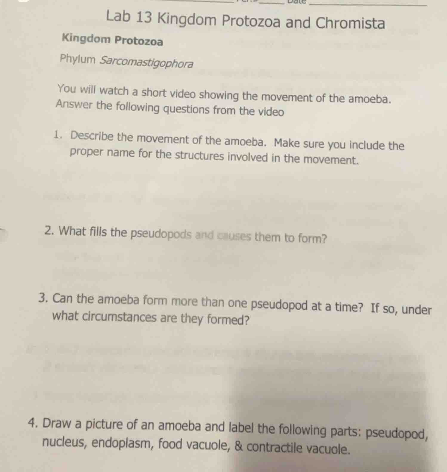 lab 13 kingdom protozoa and chromistakingdom protozoaphylum sarcomastig…