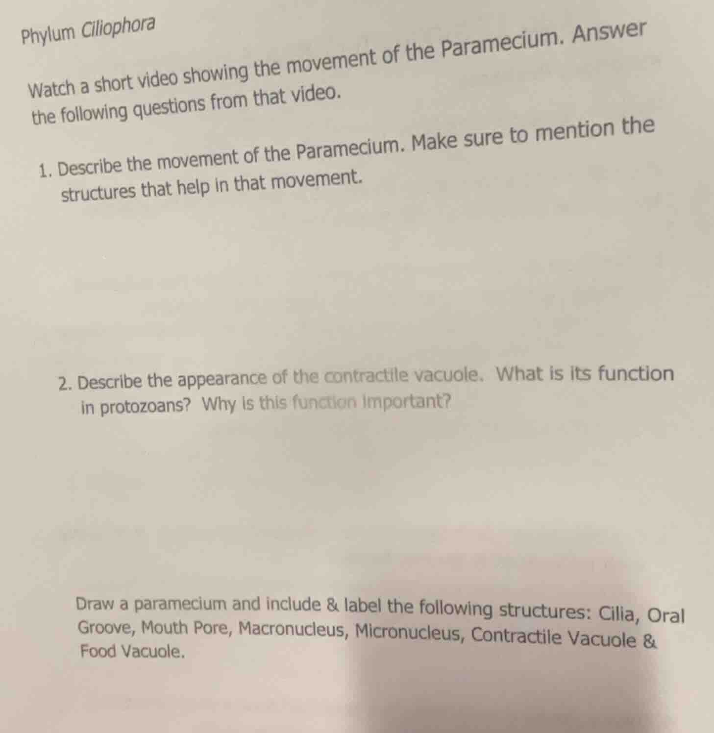 phylum ciliophora watch a short video showing the movement of the param…