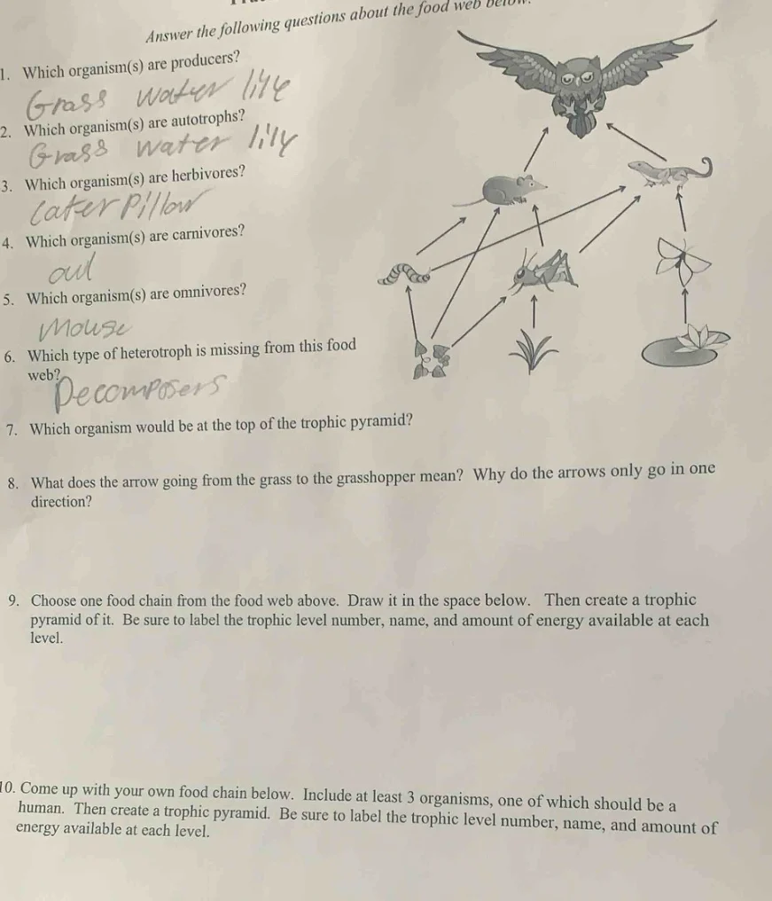 answer the following questions about the food web below.1. which organi…