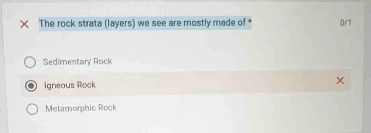 the rock strata (layers) we see are mostly made of * 0/1 sedimentary ro…