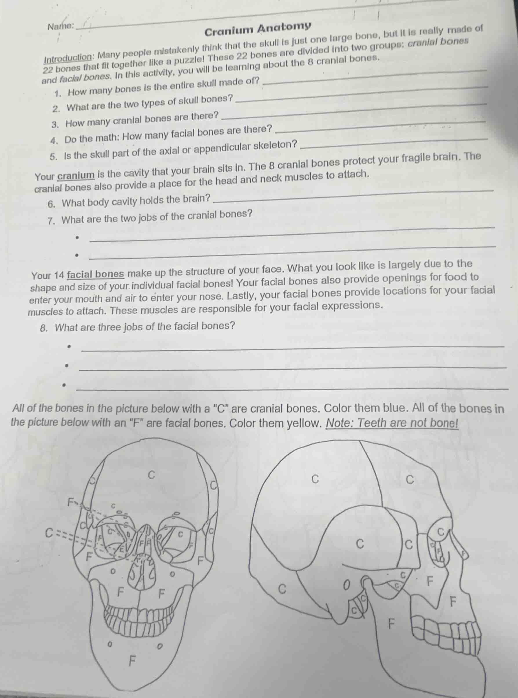 name:cranium anatomyintroduction: many people mistakenly think that the…