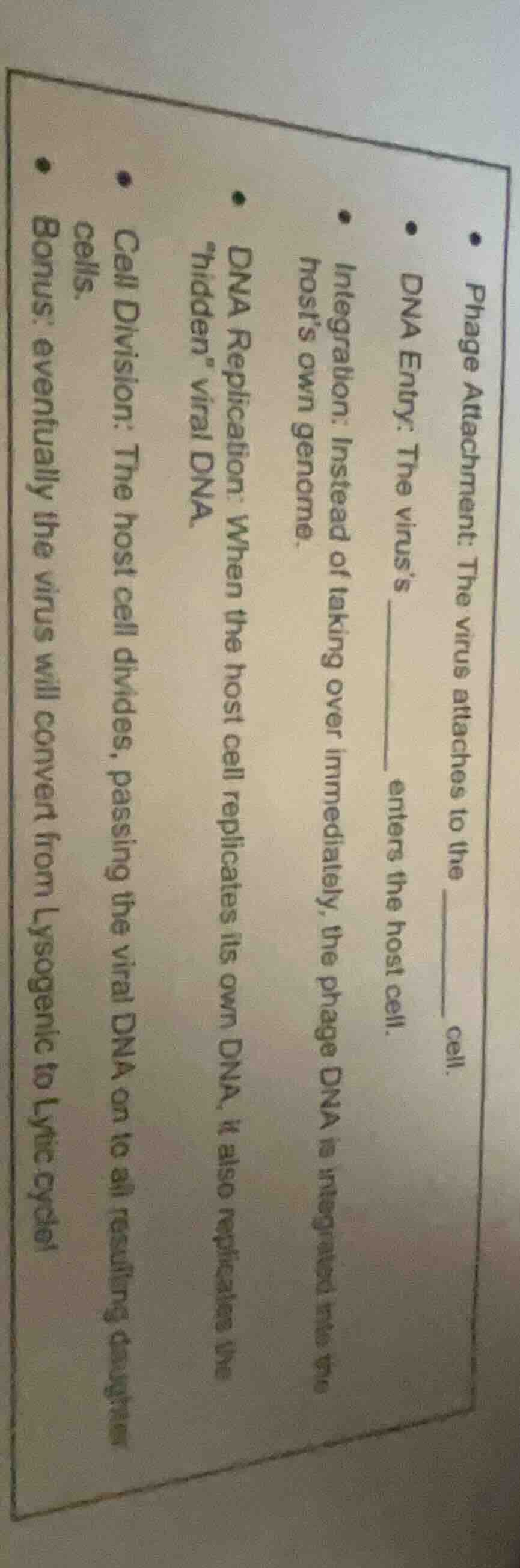 • phage attachment: the virus attaches to the ______ cell.• dna entry: …