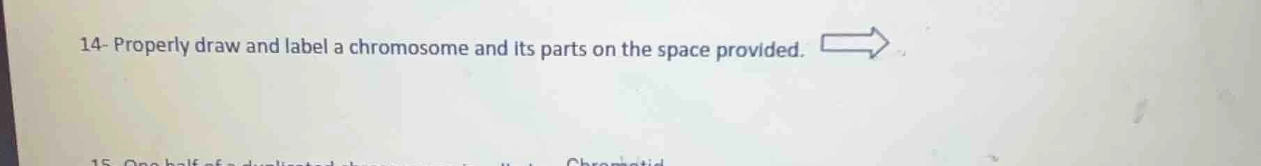 14- properly draw and label a chromosome and its parts on the space pro…