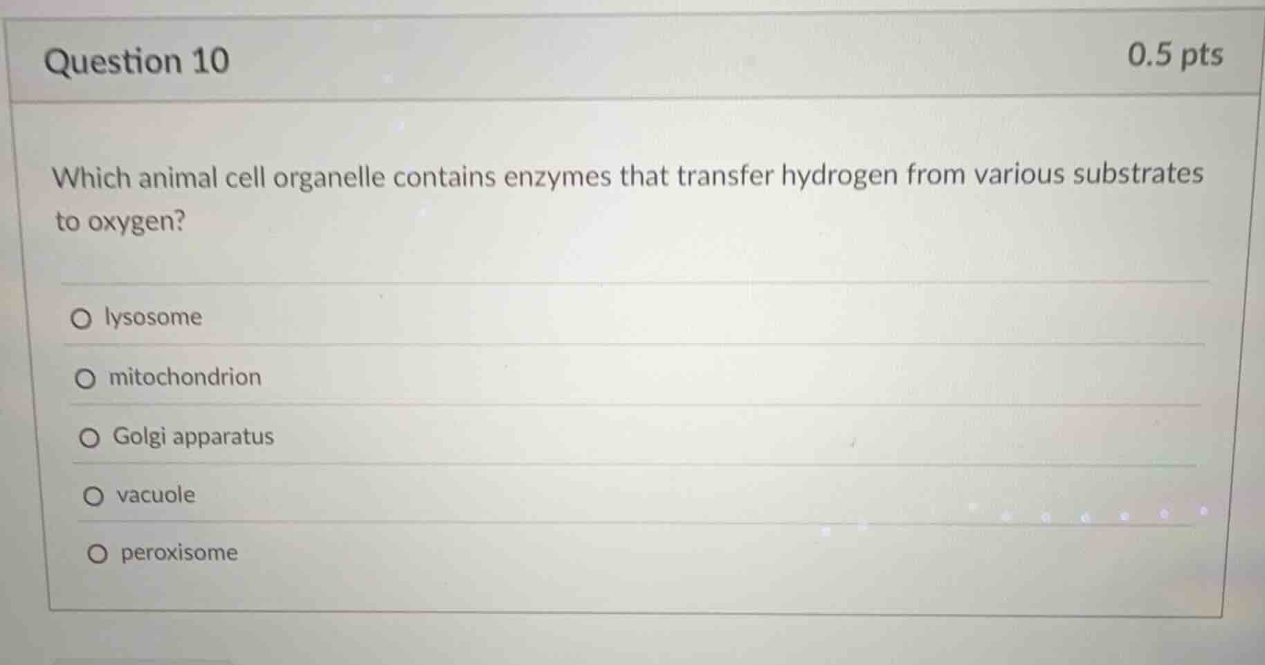 question 10 0.5 pts which animal cell organelle contains enzymes that t…
