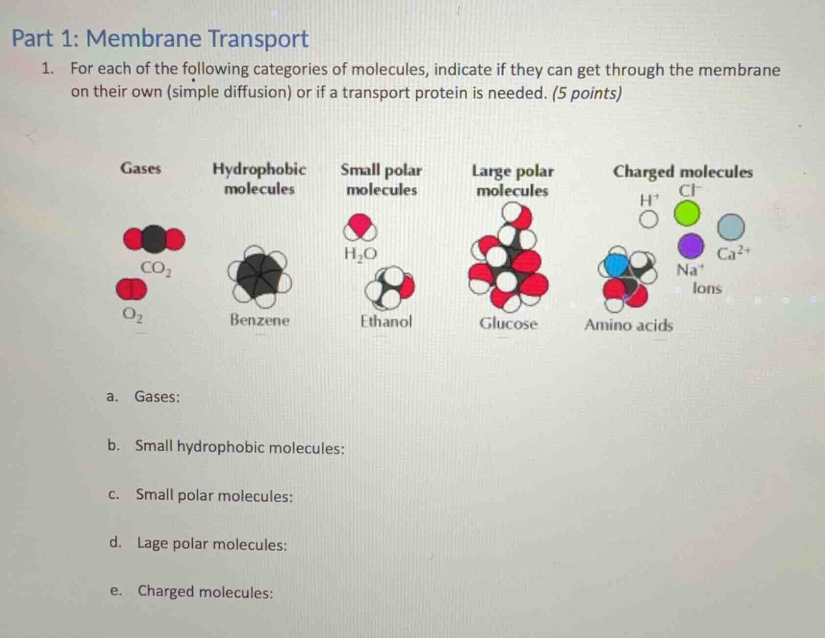 part 1: membrane transport 1. for each of the following categories of m…