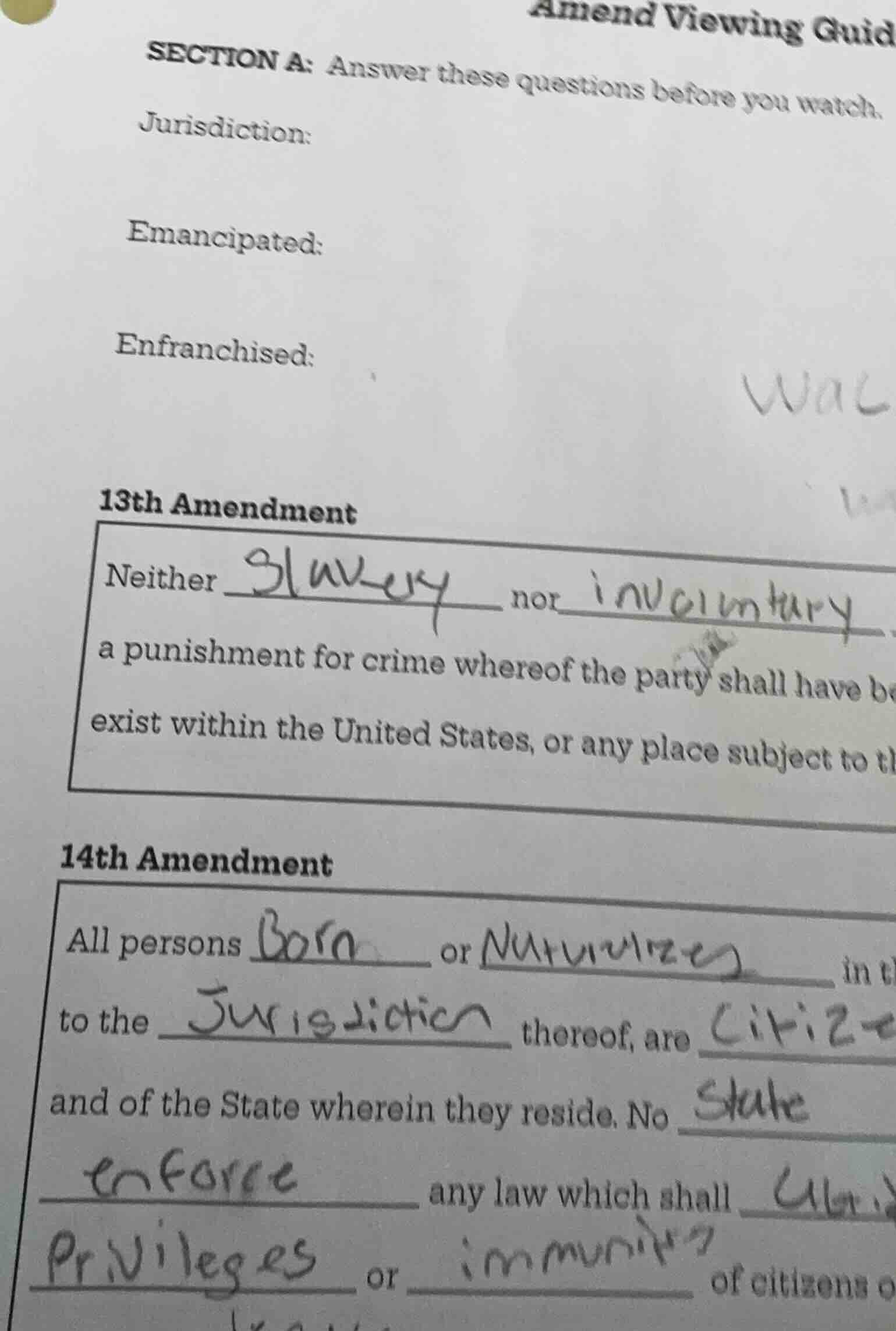 amend viewing guidsection a: answer these questions before you watch.ju…