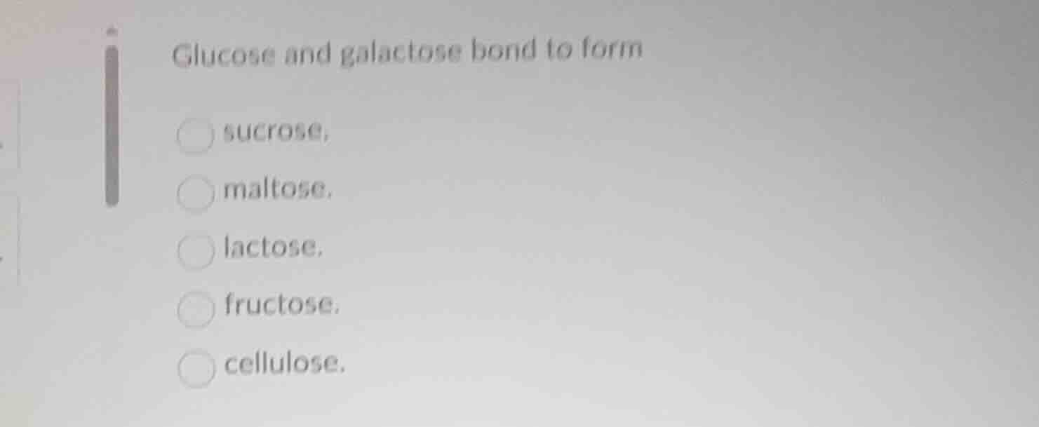glucose and galactose bond to form sucrose, maltose. lactose. fructose.…