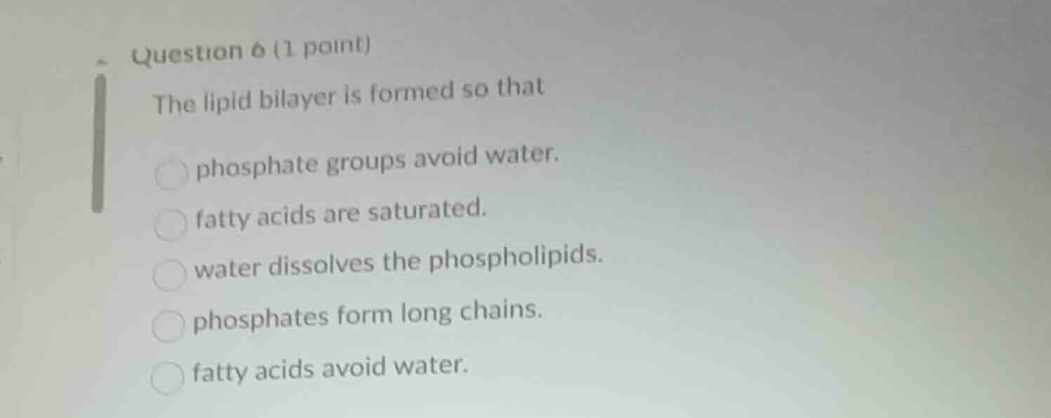 question 6 (1 point) the lipid bilayer is formed so that phosphate grou…