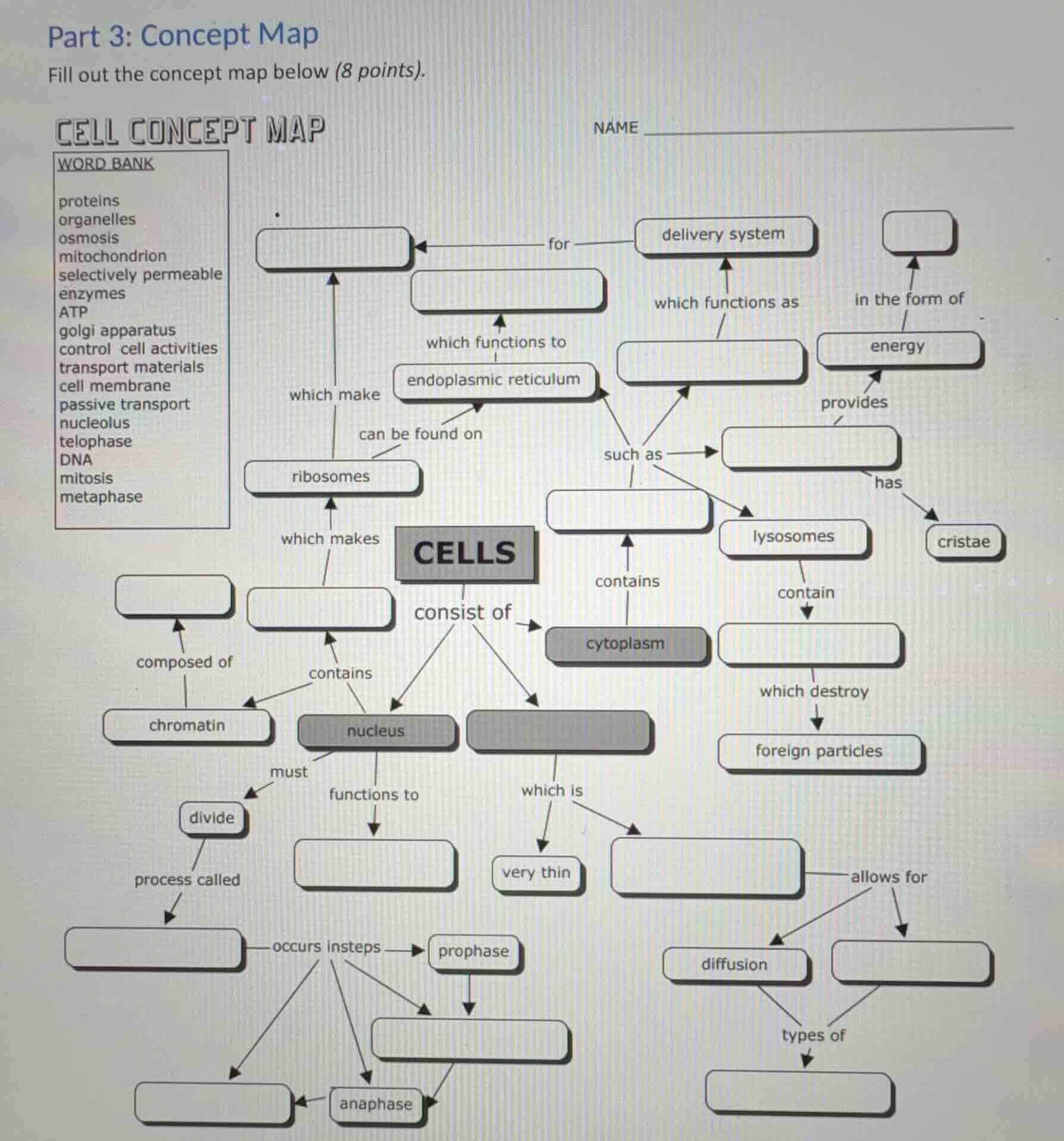 part 3: concept map fill out the concept map below (8 points). cell con…