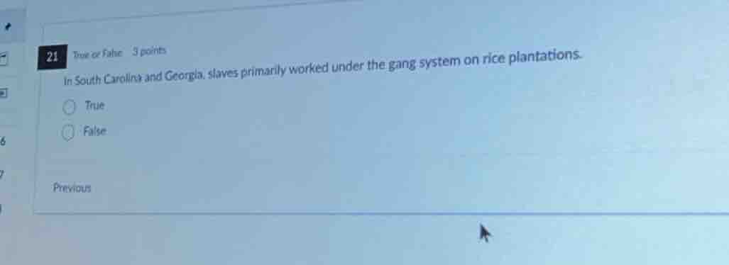 21 true or false 3 points in south carolina and georgia, slaves primari…