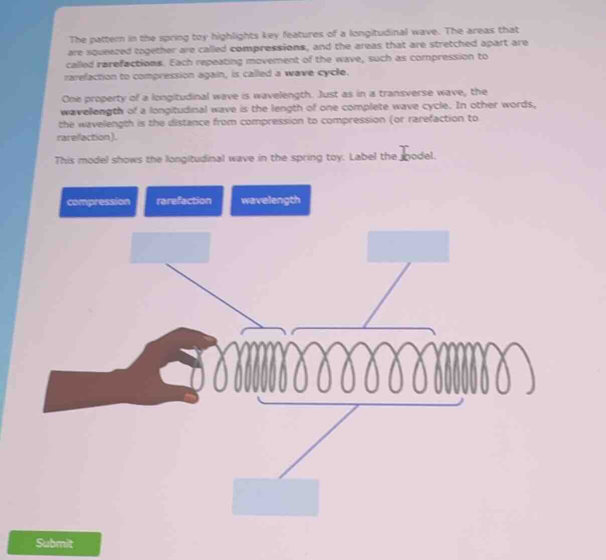 the pattern in the spring toy highlights key features of a longitudinal…