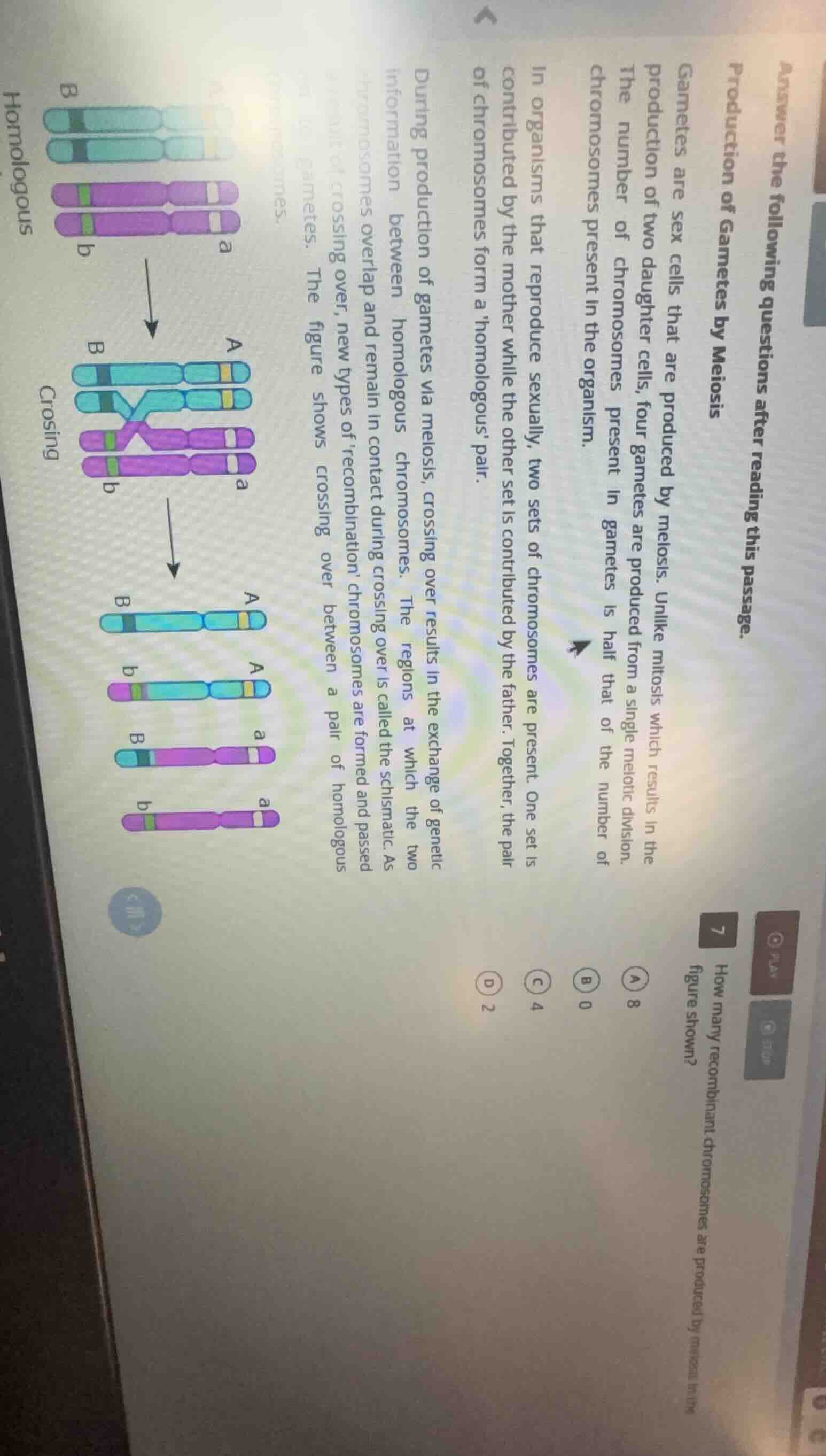 answer the following questions after reading this passage.production of…