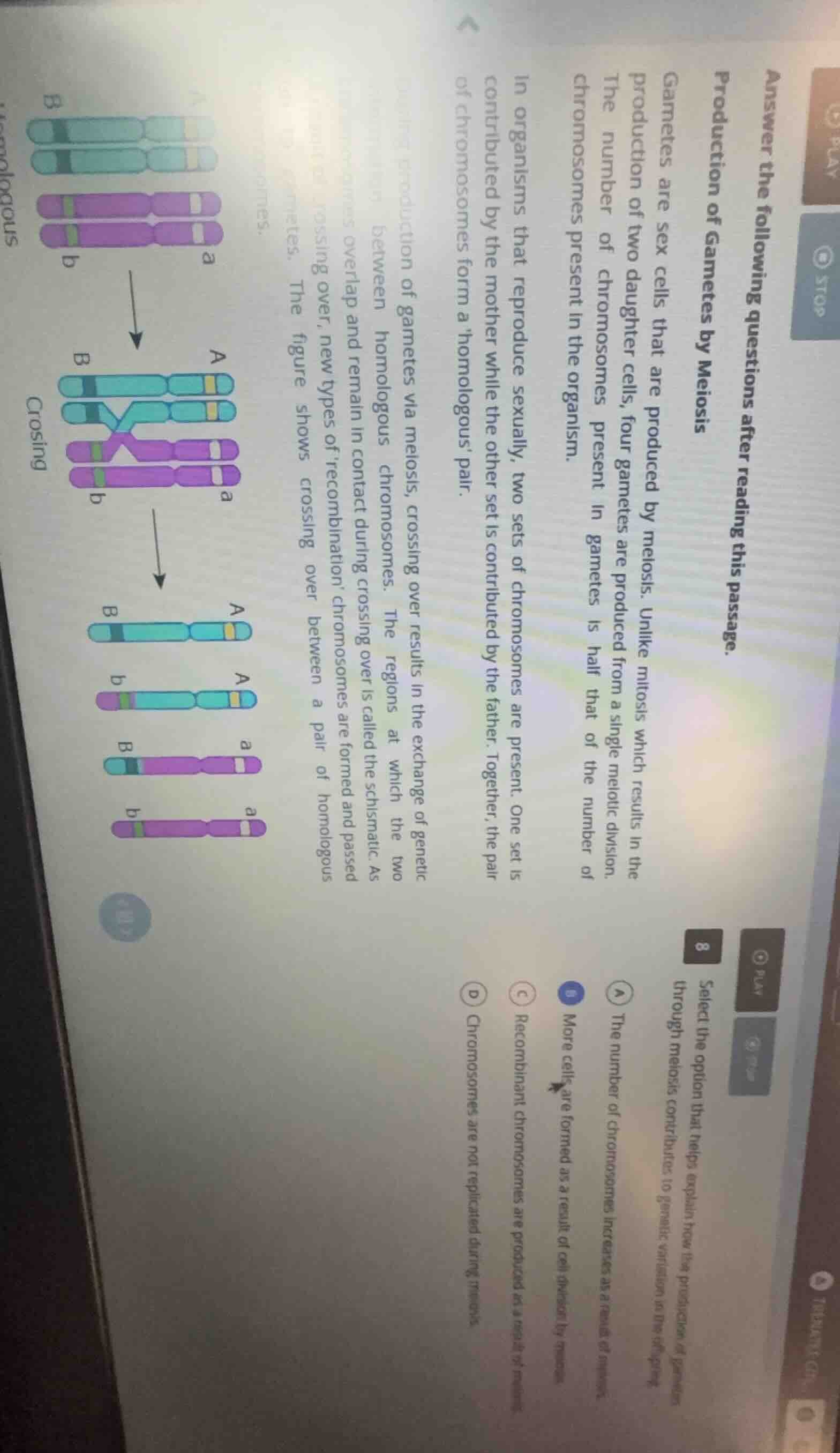 answer the following questions after reading this passage.production of…