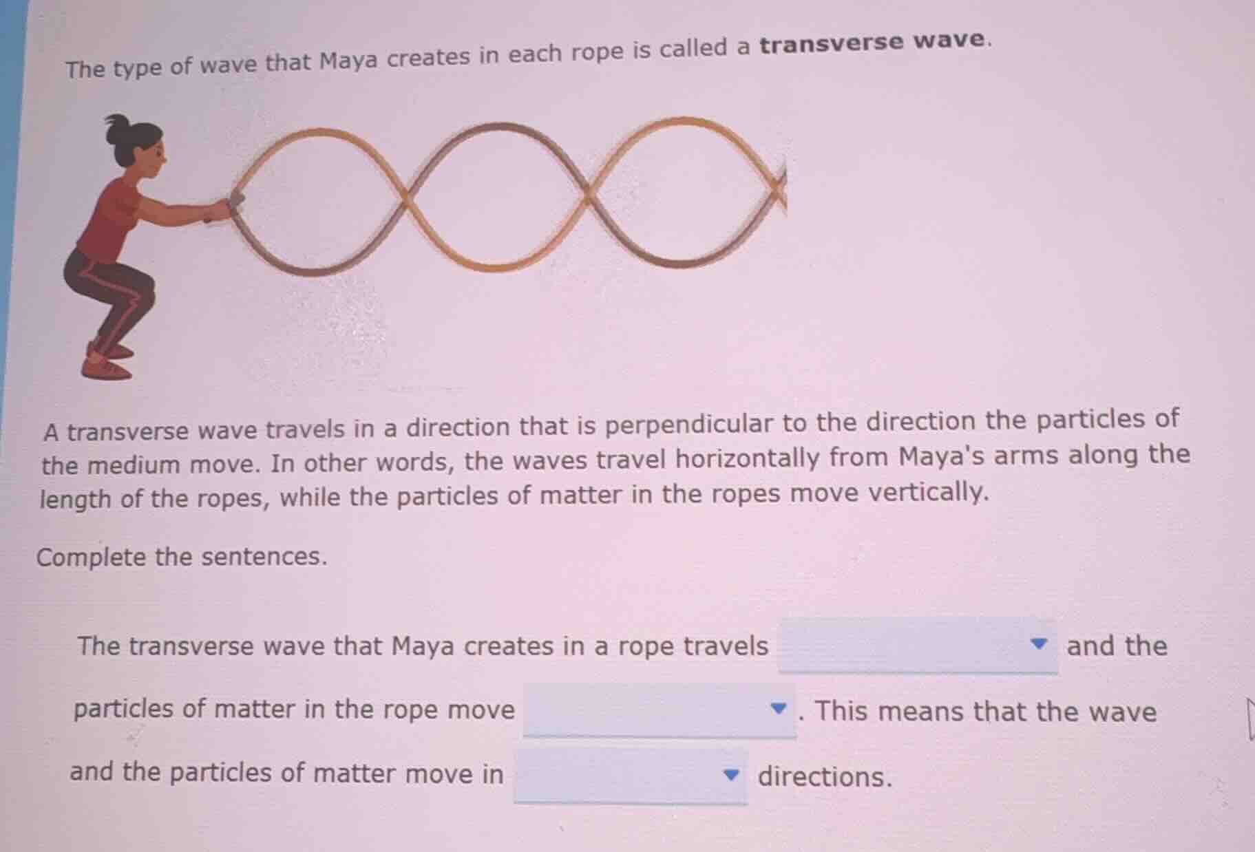 the type of wave that maya creates in each rope is called a transverse …