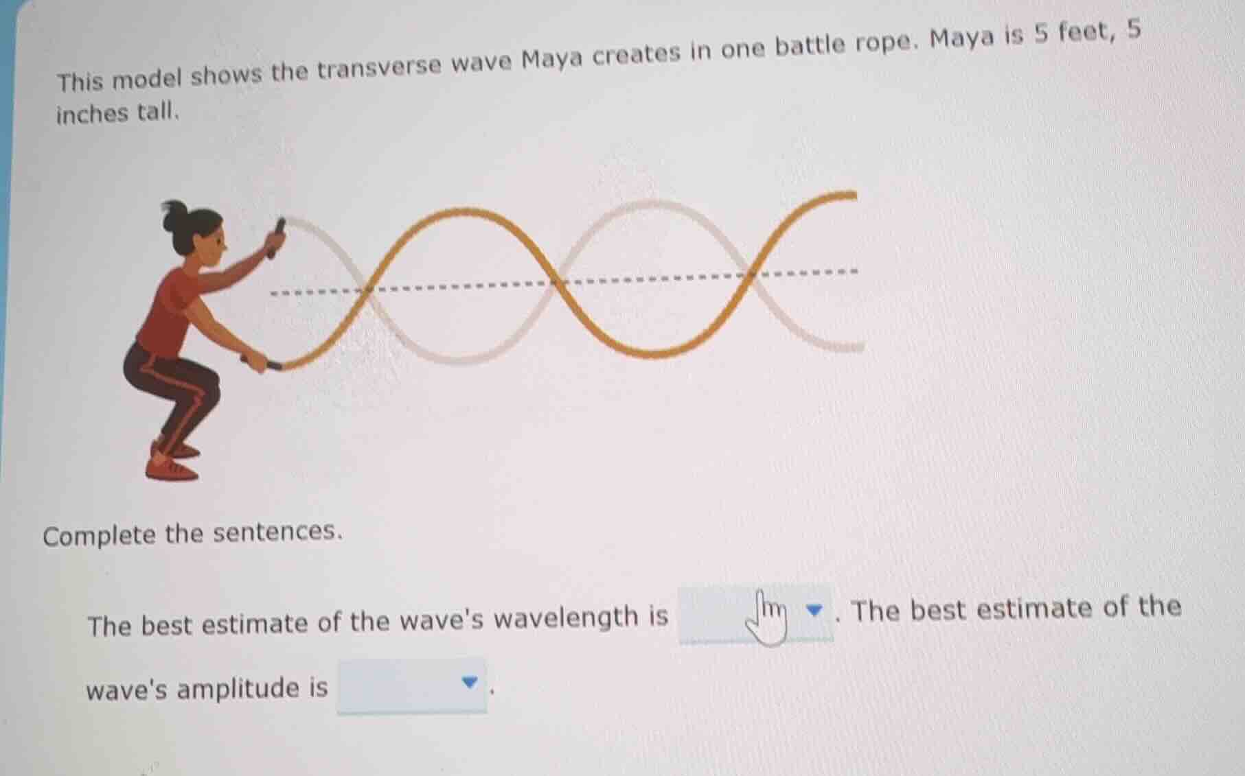 this model shows the transverse wave maya creates in one battle rope. m…