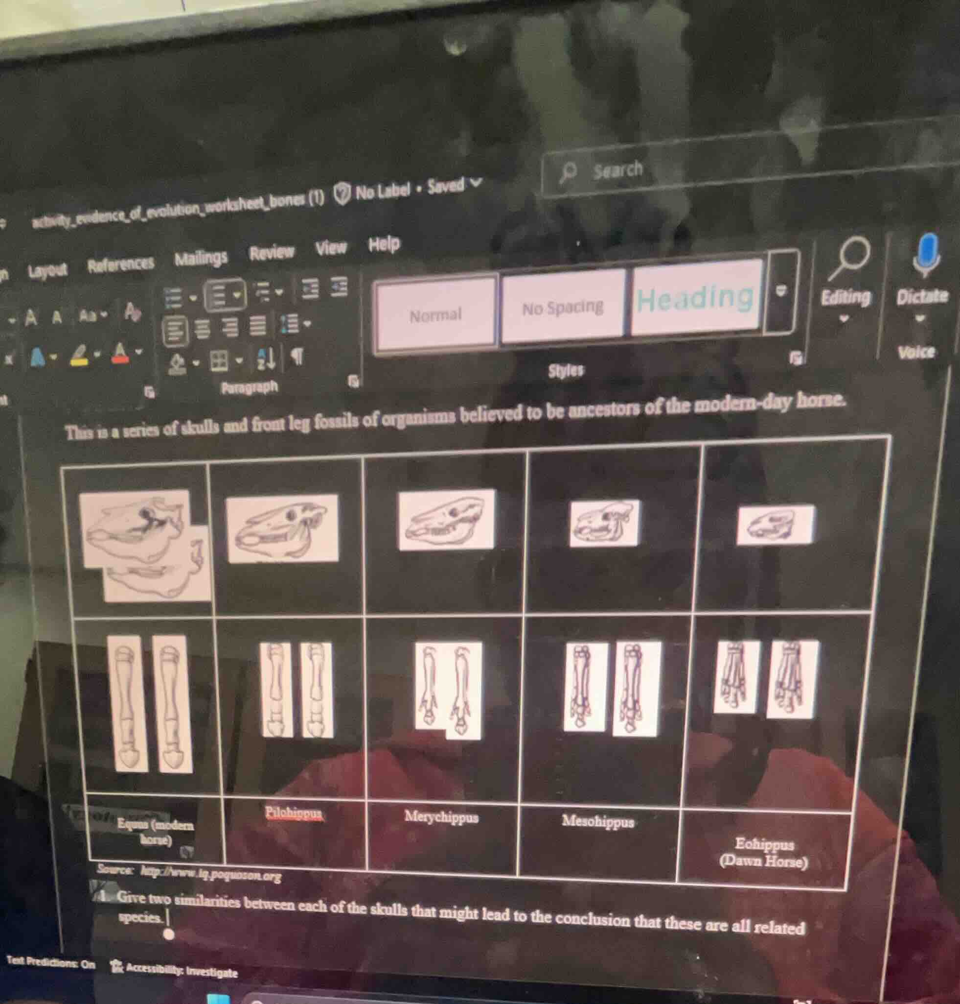 this is a series of skulls and front leg fossils of organisms believed …