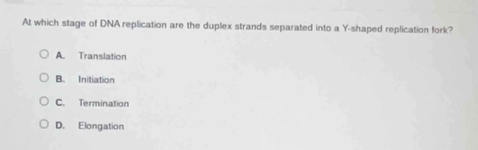at which stage of dna replication are the duplex strands separated into…