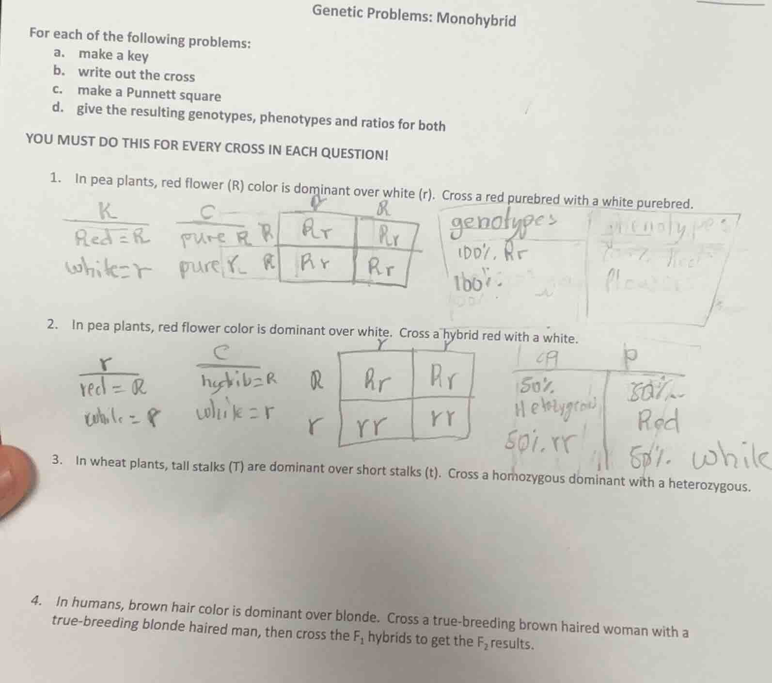 genetic problems: monohybrid for each of the following problems: a. mak…