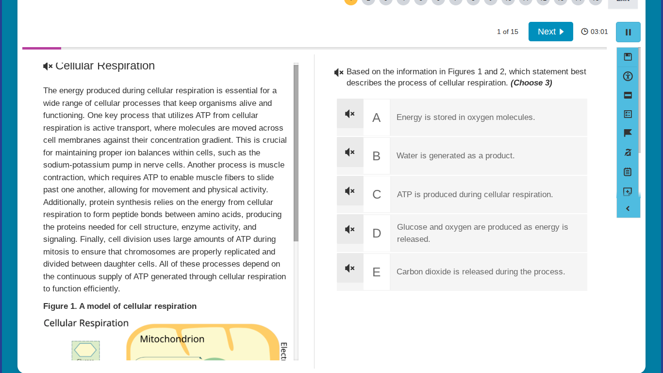 cellular respiration the energy produced during cellular respiration is…