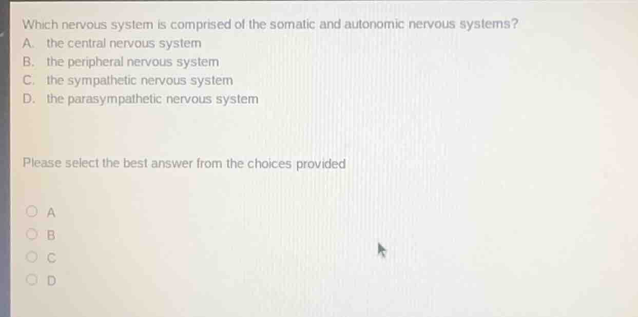 which nervous system is comprised of the somatic and autonomic nervous …
