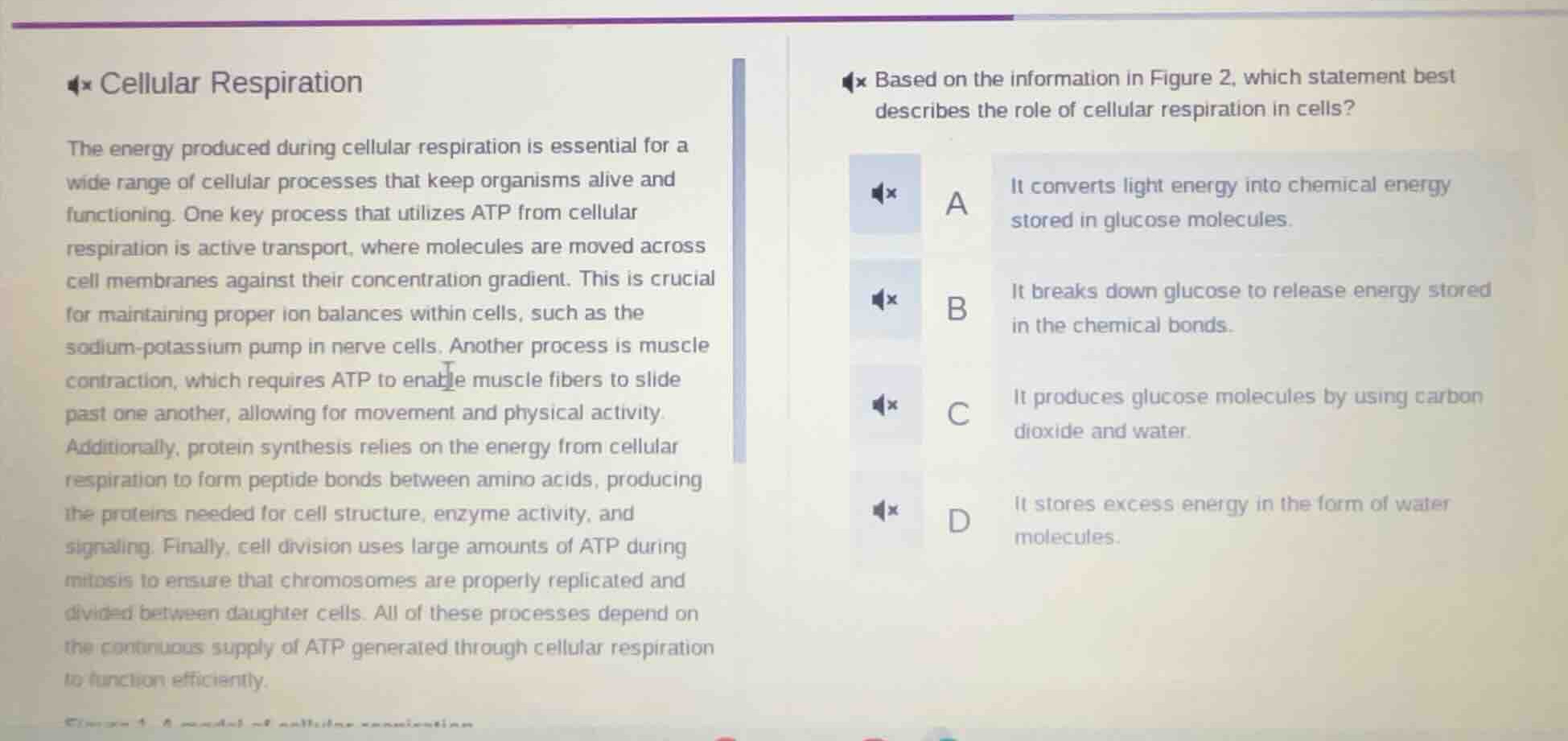 cellular respiration the energy produced during cellular respiration is…