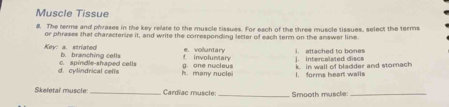 muscle tissue 8. the terms and phrases in the key relate to the muscle …