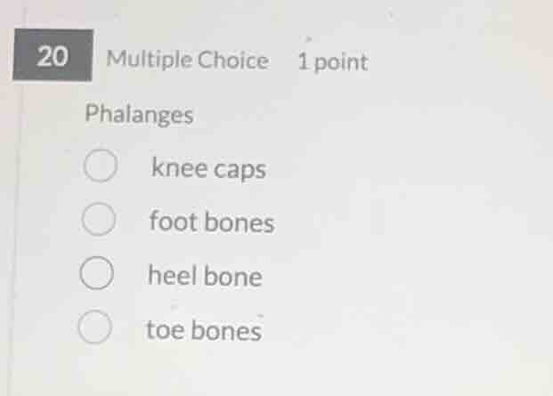 20 multiple choice 1 point phalanges knee caps foot bones heel bone toe…
