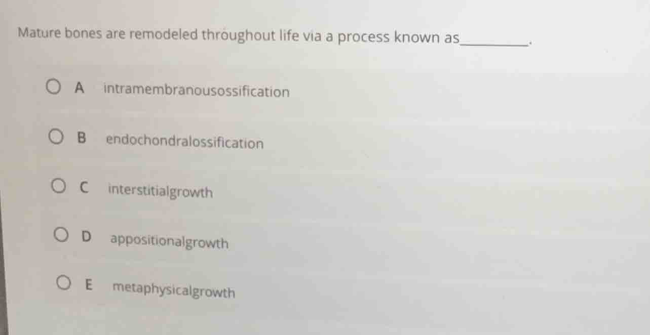 mature bones are remodeled throughout life via a process known as______…