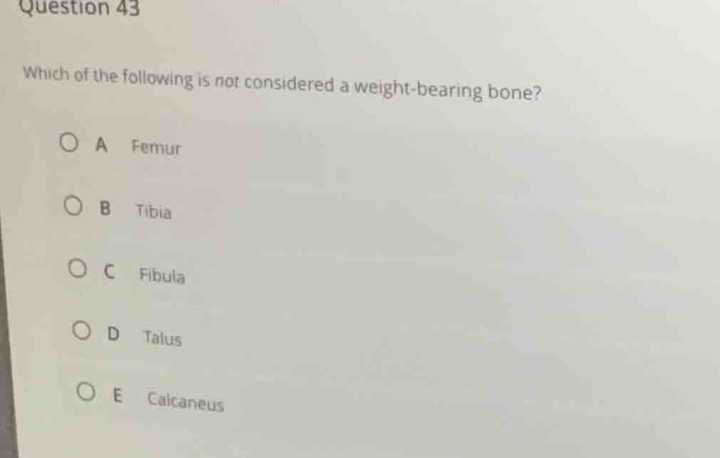question 43 which of the following is not considered a weight-bearing b…