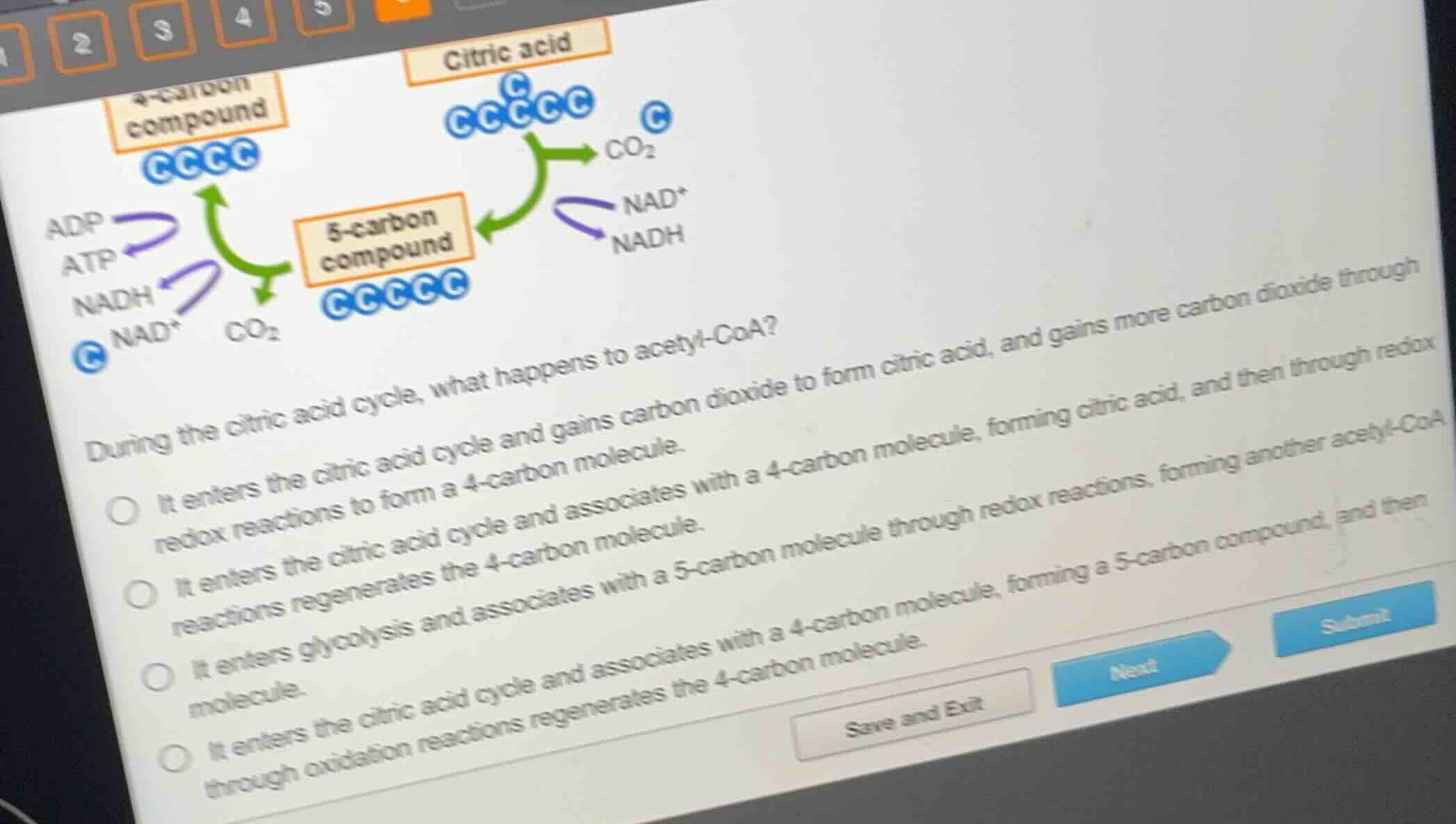 during the citric acid cycle, what happens to acetyl-coa? - it enters t…