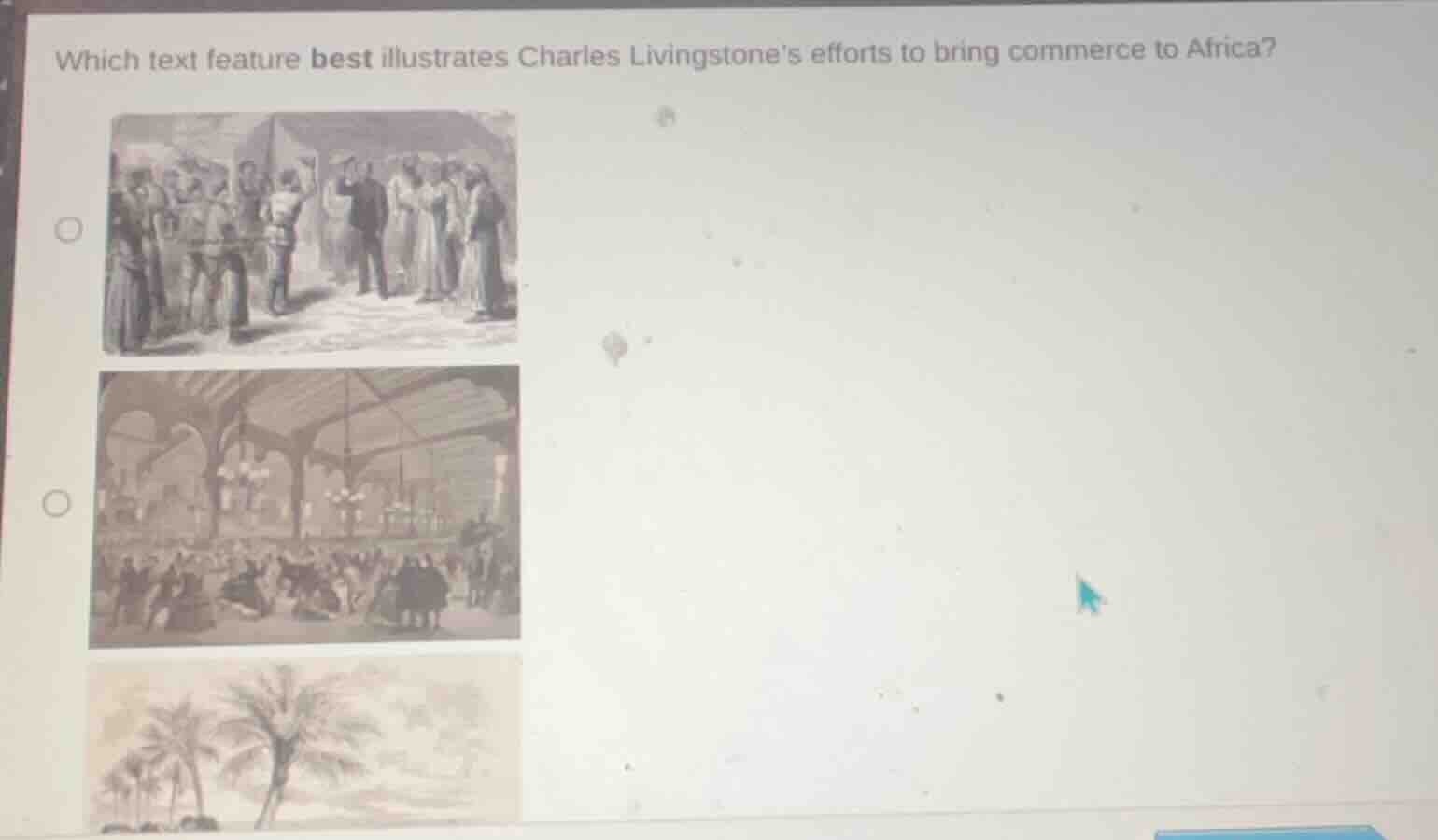 which text feature best illustrates charles livingstones efforts to bri…