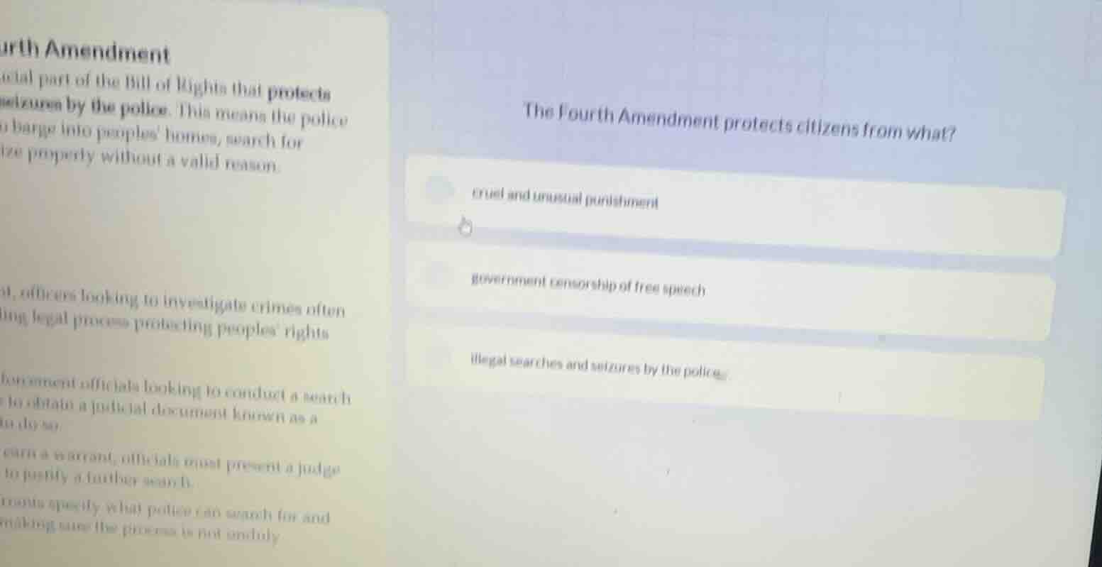 the fourth amendment protects citizens from what? cruel and unusual pun…