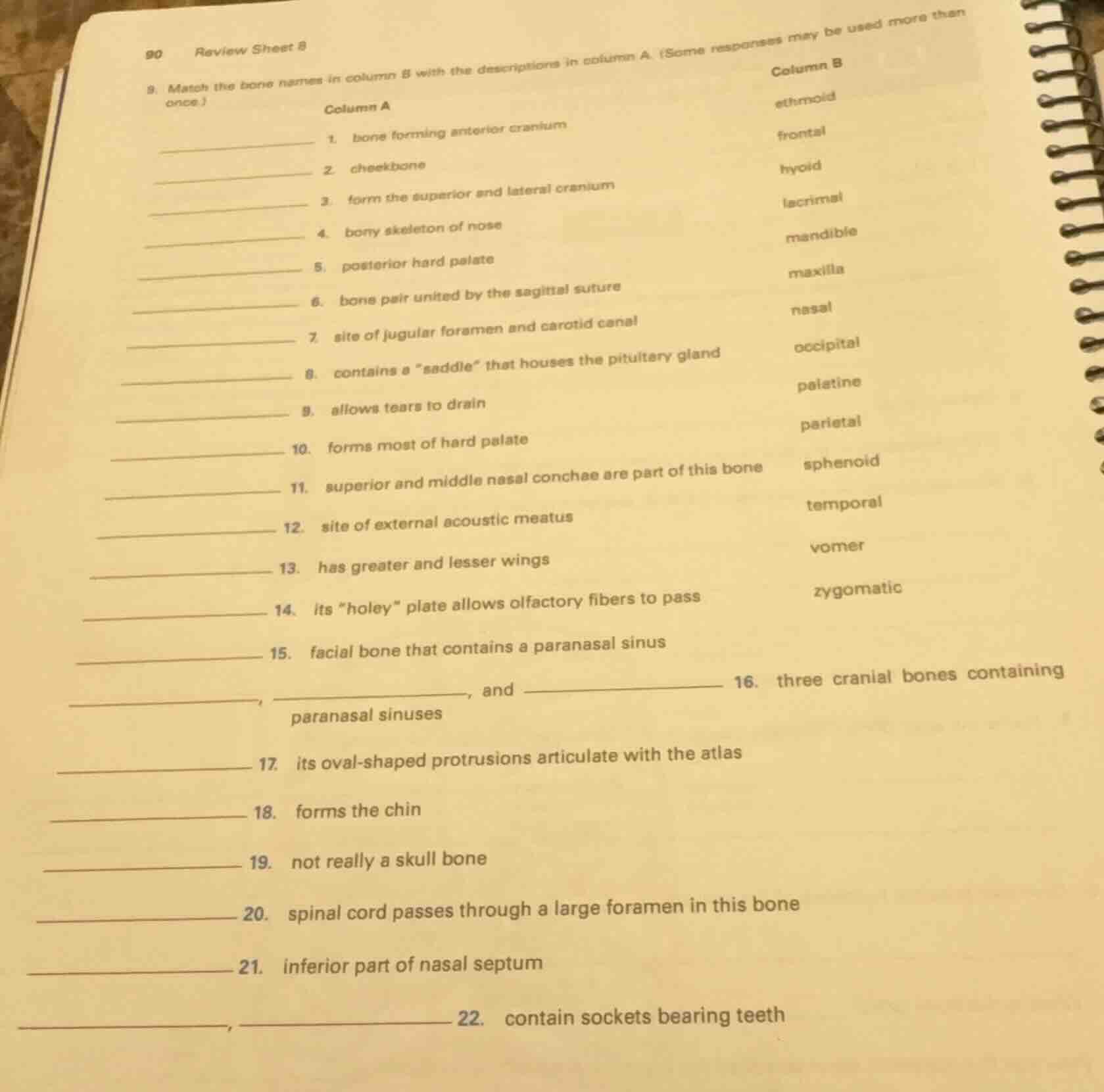 90 review sheet 8 9. match the bone names in column b with the descript…