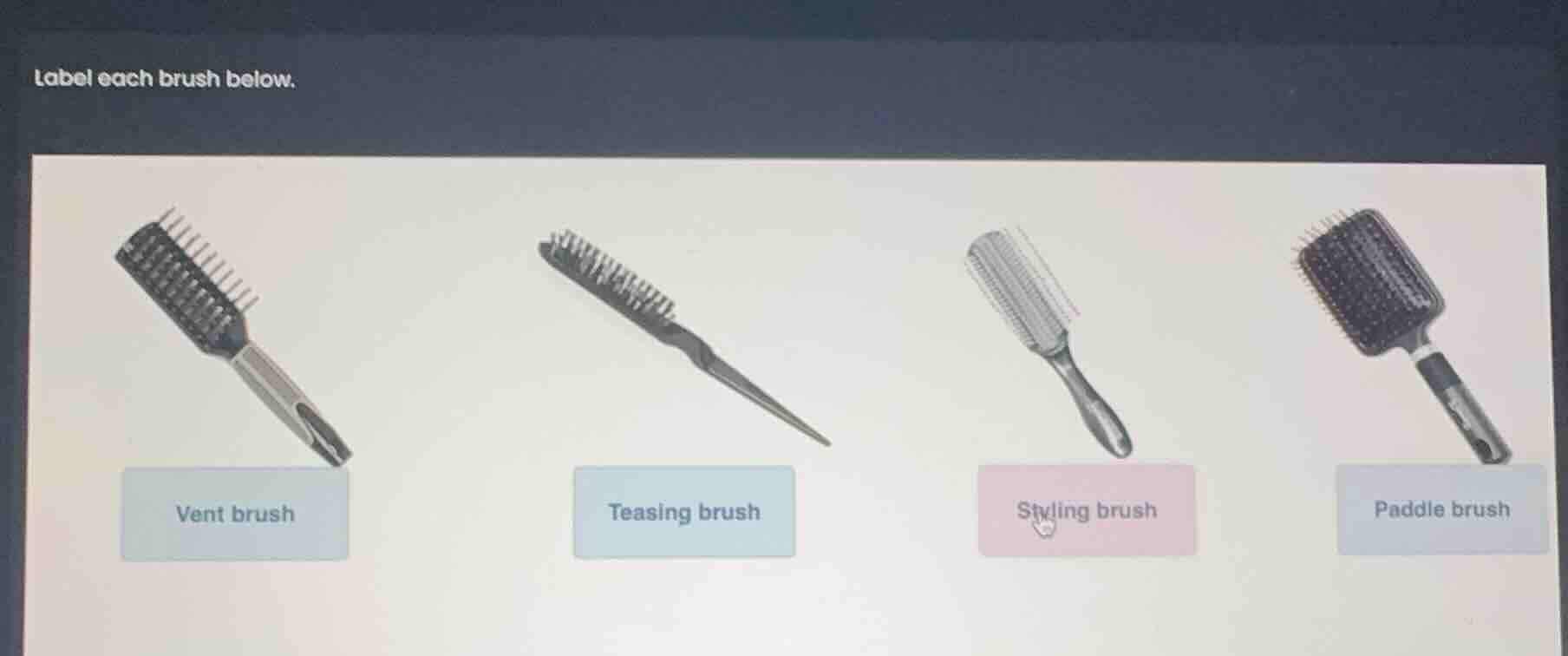 label each brush below. vent brush teasing brush styling brush paddle b…