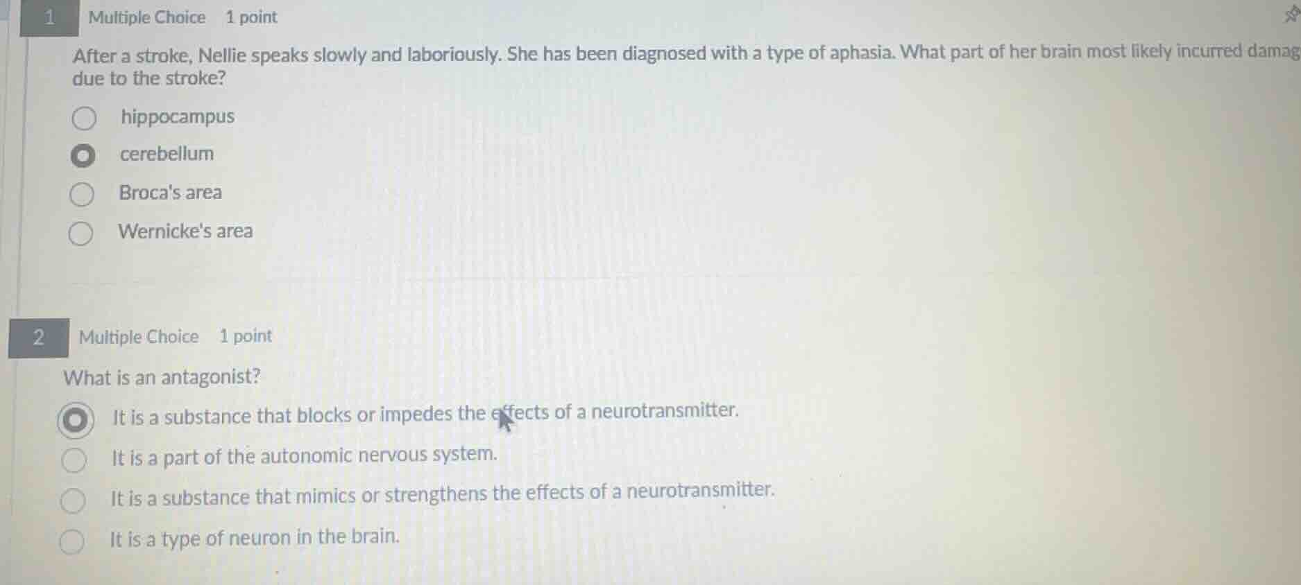 1 multiple choice 1 point after a stroke, nellie speaks slowly and labo…